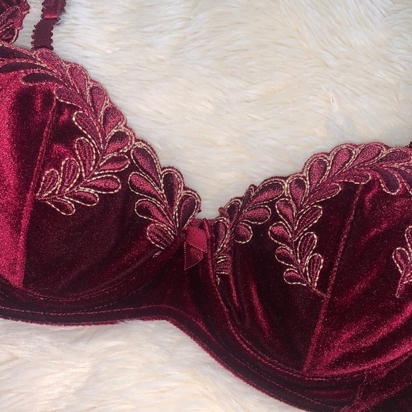 Victoria’s Secret Velvet Embroidered Bra - Picture 4 of 6